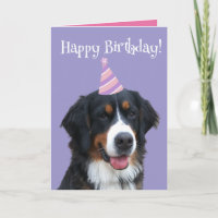 Bernese Mountain Hund Welpe Geburtstag