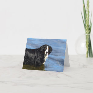 Bernese Mountain Hund Welpen Hundekarte Karte