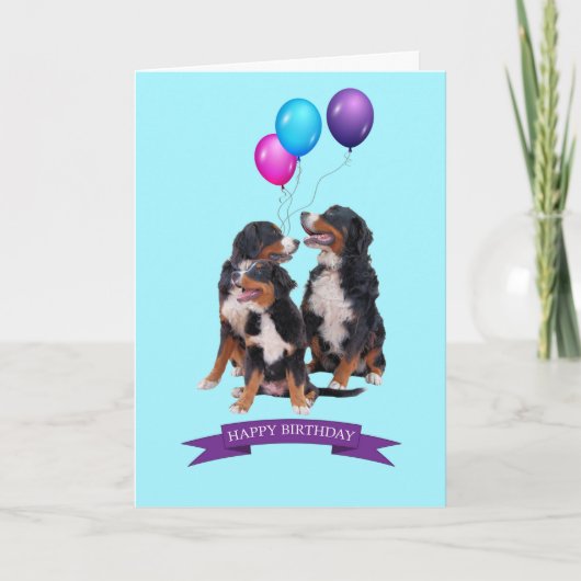 Bernese Mountain Hunde Happy Birthday Grußkarte Karte (Vorderseite)