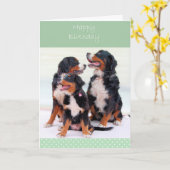 Bernese Mountain Hunde Happy Birthday Grußkarte Karte (Gelbe Blume)