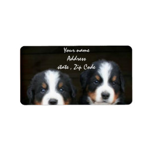 Bernese Mountain Hunde Welpen Adressetikett