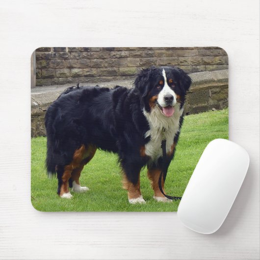 Bernese Mountain-Maus-Matte Mousepad (Mit Mouse)