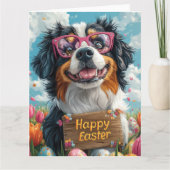 Bernese Mountain Oaster Eggs Karte (Vorderseite)