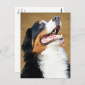 Bernese Mountain Puppy Dog Blank Postcard Postkarte (Vorne/Hinten)