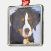 Bernese Mountain Puppy Dog - Farbstift Sketch Ornament Aus Metall (Links)