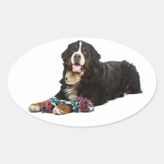 Bernese Mountain Puppy Dog Sticker / Siegel (Vorderseite)