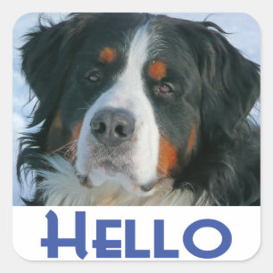 Bernese Mountain Puppy Dog Sticker / Siegel