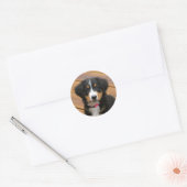 Bernese Mountain Puppy Stickers (Umschlag)