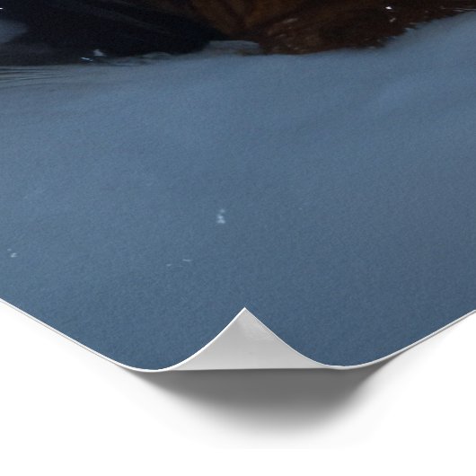 Bernese Mountain Snowy Sleigh Weihnachtsdekor Poster (Ecke)