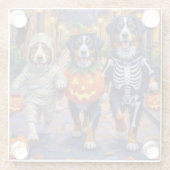 Bernese Mountain Trick oder Treating zu Halloween Glasuntersetzer (Rückseite)