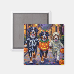Bernese Mountain Trick oder Treating zu Halloween Magnet