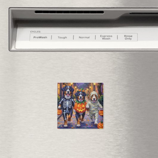 Bernese Mountain Trick oder Treating zu Halloween Magnet (In Situ (Geschirrspüler))