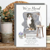 Bernese Mountain We Moved Moving Ankündigung