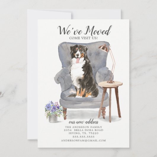 Bernese Mountain We Moved Moving Ankündigung (Vorderseite)