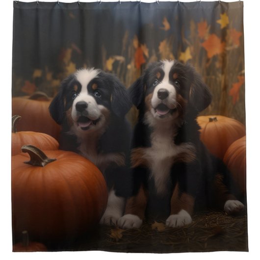 Bernese Mountain Welpe Herbst Kürbiskugel Duschvorhang (Vorderseite)