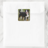 Bernese Mountain Welpe Hunde Aufkleber / Siegel (Tasche)