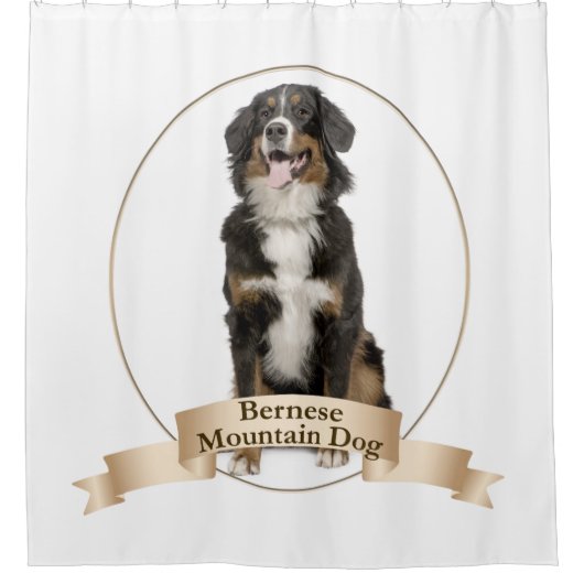 Bernese Mt. Dog Duschvorhang (Vorderseite)
