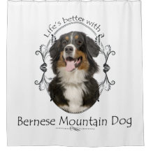 Bernese Mt. Dog Duschvorhang