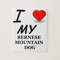 Bernese mt dog Liebe