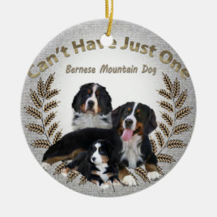Bernese Mt. Hund kann gerade eine Verzierung nicht Keramik Ornament