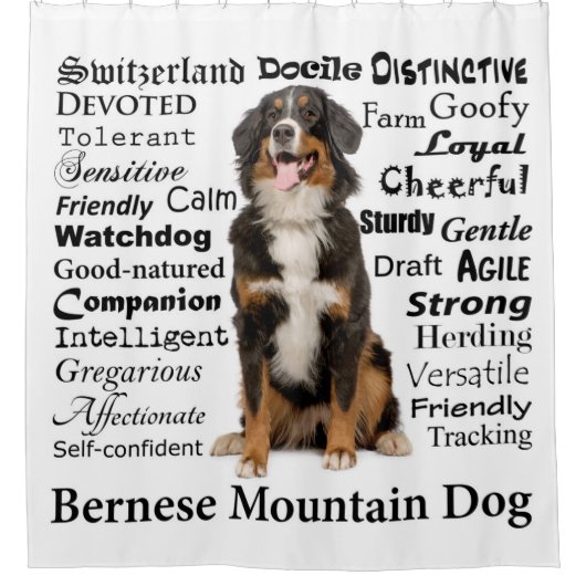 Bernese Mt. Hundemerkmal-Duschvorhang Duschvorhang (Vorderseite)