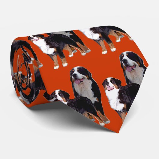 Bernese Mtn Krawatte (Gerollt)