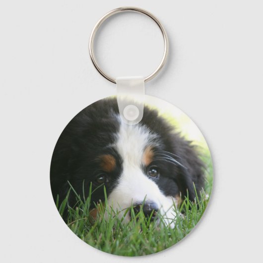 Bernese Puppy Schlüsselanhänger (Vorderseite)