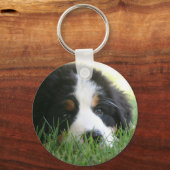 Bernese Puppy Schlüsselanhänger (Vorderseite)