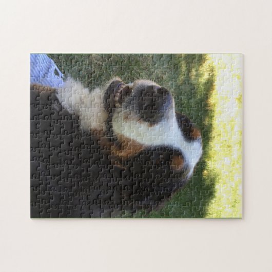 Bernese Puzzlespiel Puzzle (Horizontal)