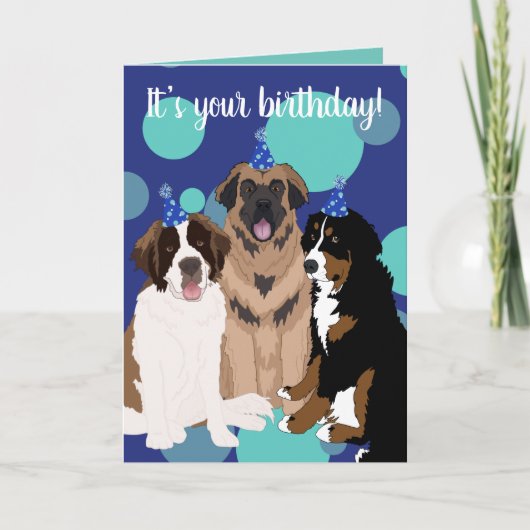 Bernese, Saint Bernard, Leonberger Geburtstag Karte (Vorderseite)