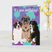 Bernese, Saint Bernard, Leonberger Geburtstag Karte (Gelbe Blume)
