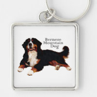 BERNESE