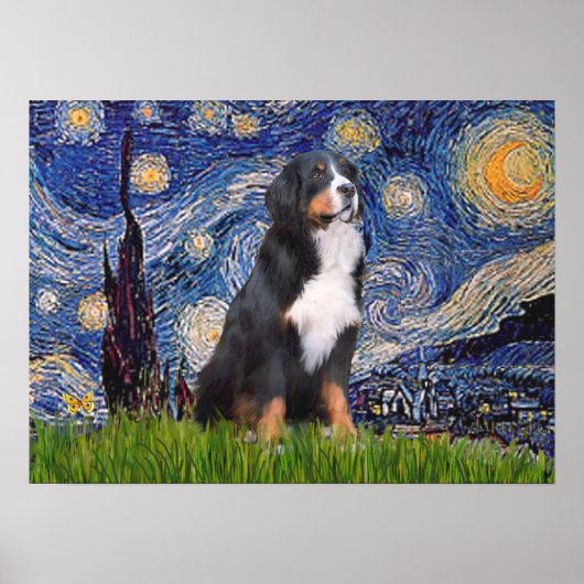 Bernese - Starry Night Poster (Vorne)