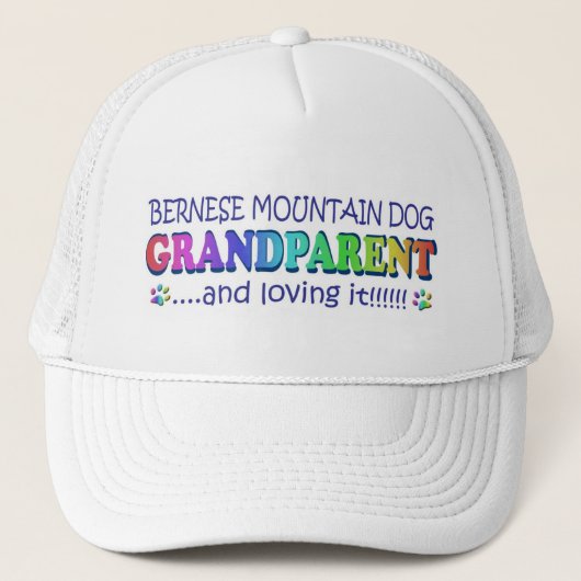 BERNESE TRUCKERKAPPE (Vorderseite)