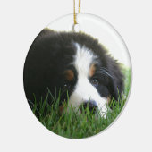 Bernese Welpe Keramik Ornament (Links)