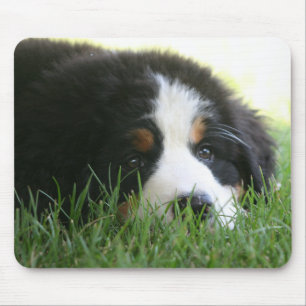 Bernese Welpe Mousepad