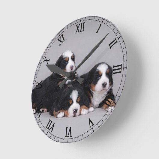 Bernese Welpen Runde Wanduhr (Winkel)