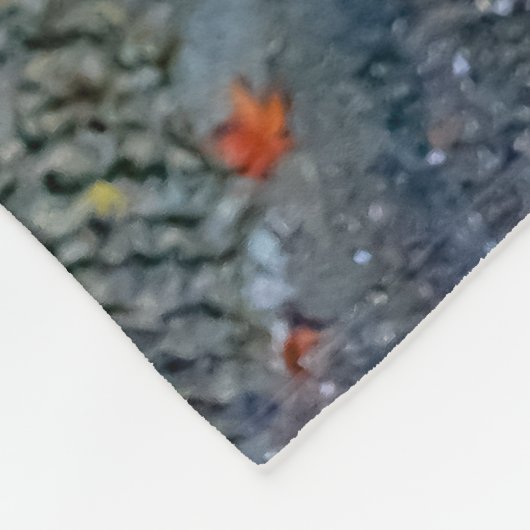 Bernhadiner fleecedecke (Ecke)