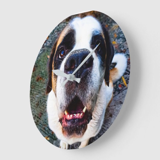 Bernhadiner große wanduhr (Winkel)