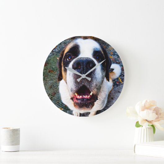 Bernhadiner große wanduhr (Zuhause)