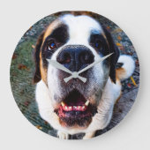 Bernhadiner große wanduhr (Vorderseite)