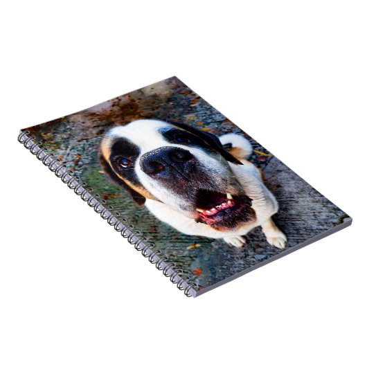 Bernhadiner  notizblock (Rechte Seite)