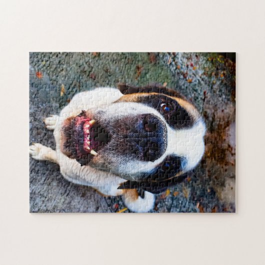 Bernhadiner puzzle (Horizontal)