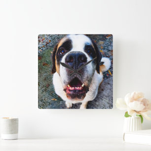 Bernhadiner quadratische wanduhr