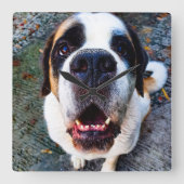 Bernhadiner quadratische wanduhr (Vorderseite)