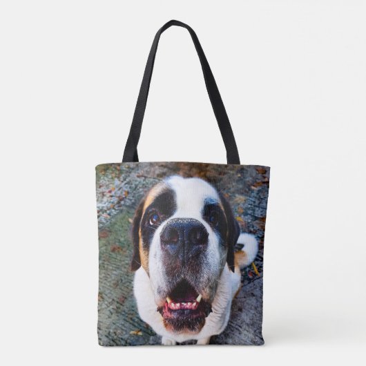 Bernhadiner tasche (Rückseite)