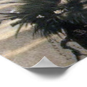 Bernhard Plockhorst - The Guardian Angel Print Poster (Ecke)