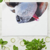 "Bernhardiner" Entwurfs-Geschirrtücher Küchentuch (Gefaltet)