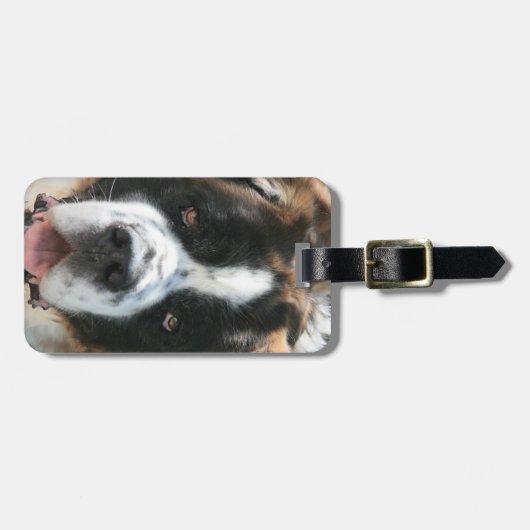 Bernhardiner-Gepäckanhänger Gepäckanhänger (Vorderseite horizontal)