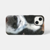Bernhardiner Gesicht iPhone Hülle (Rückseite (Horizontal))